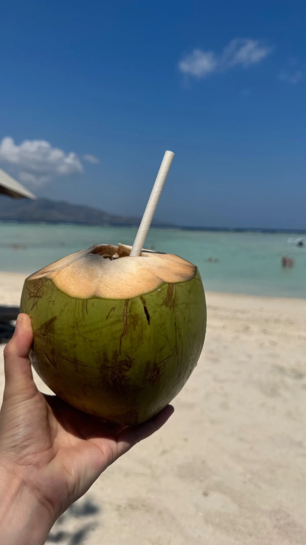 Une noix de coco fraîche face à la mer turquoise