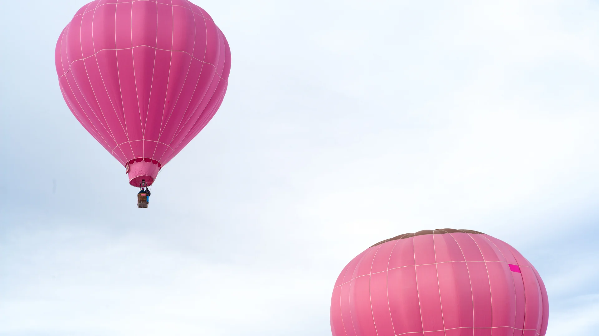 Montgolfières roses dans le ciel
