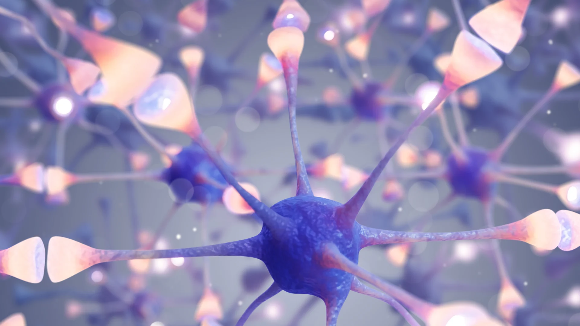 Illustration de cellules et de ramifications