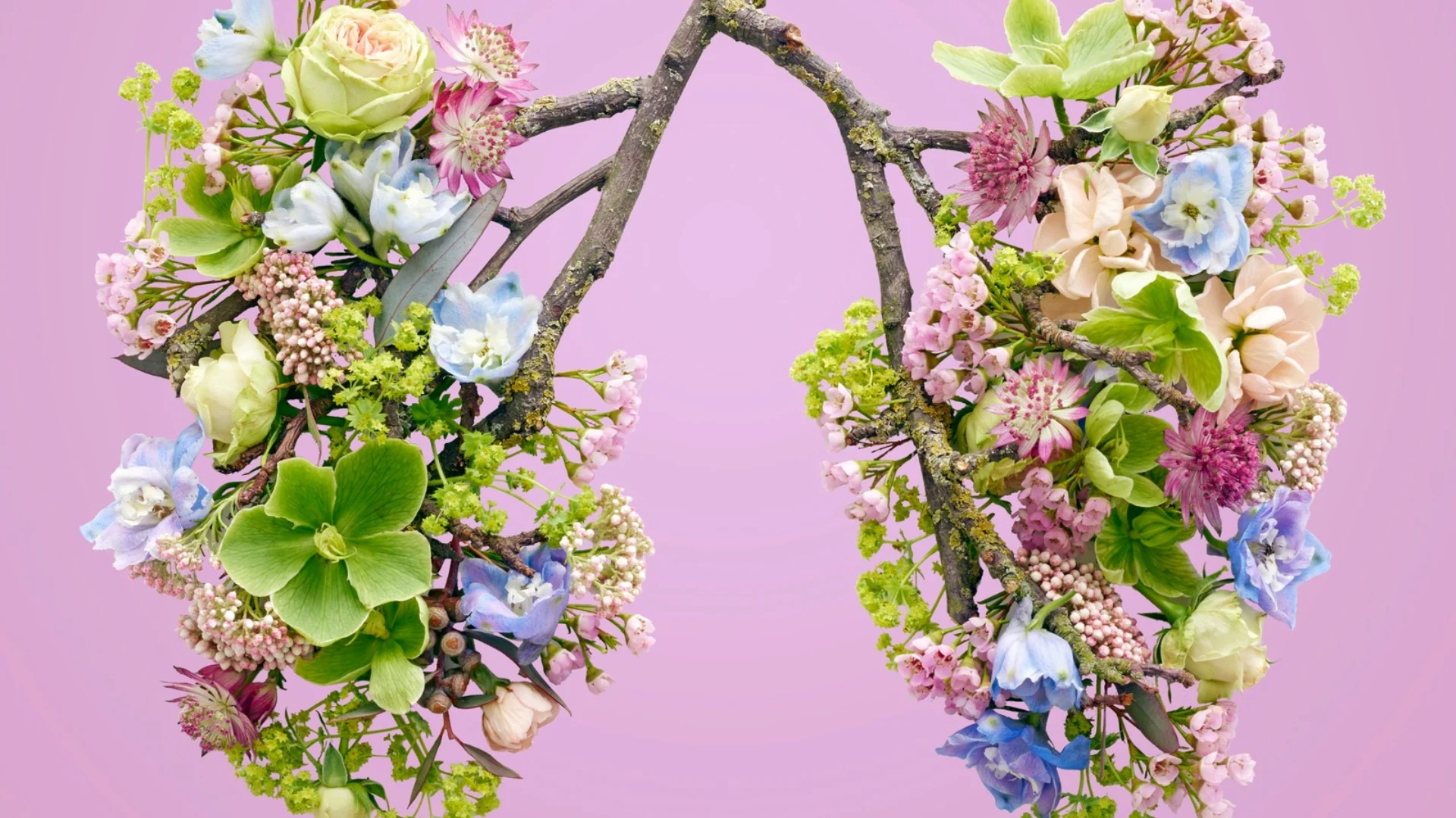 Illustration de poumons composés de fleurs