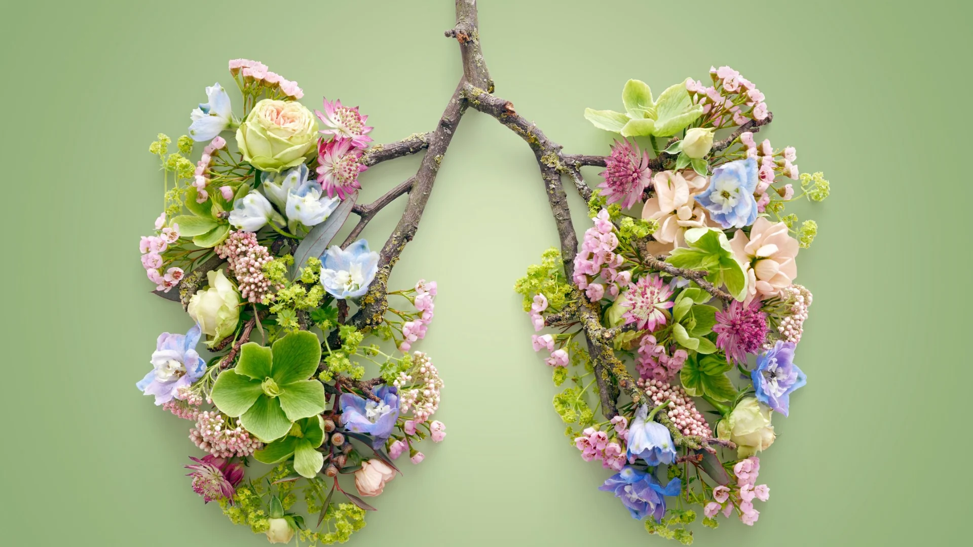 Composition florale en forme de poumons