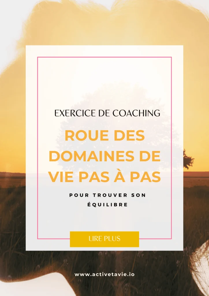 roue des domaines de vie